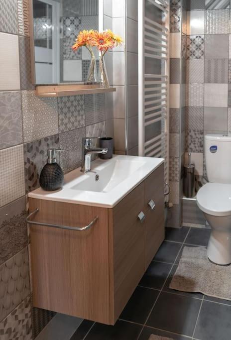 Apartament Elenis Cozy Larissa